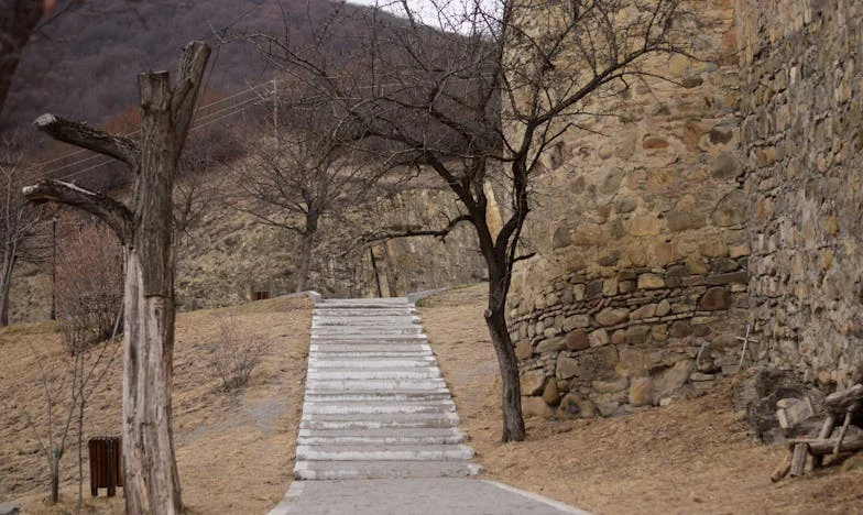 Cuando la verdad duele: El relato de Camila y la justicia en Bogotá