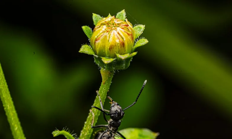 Cuando Mamá Cruzó la Puerta: El Peso de la Familia en Casa