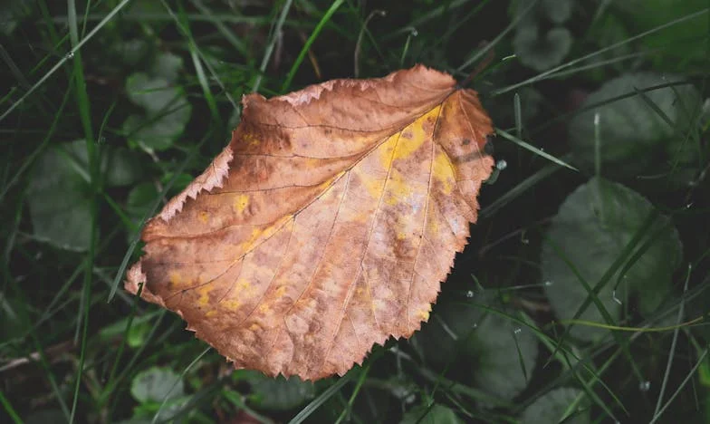 El aroma del pan y el peso de las palabras calladas