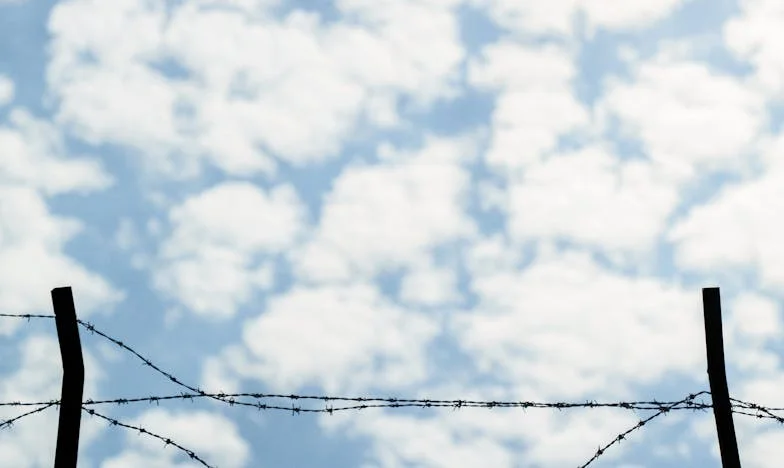 El Domingo Que Me Robó la Voz: Una Historia de Ausencias