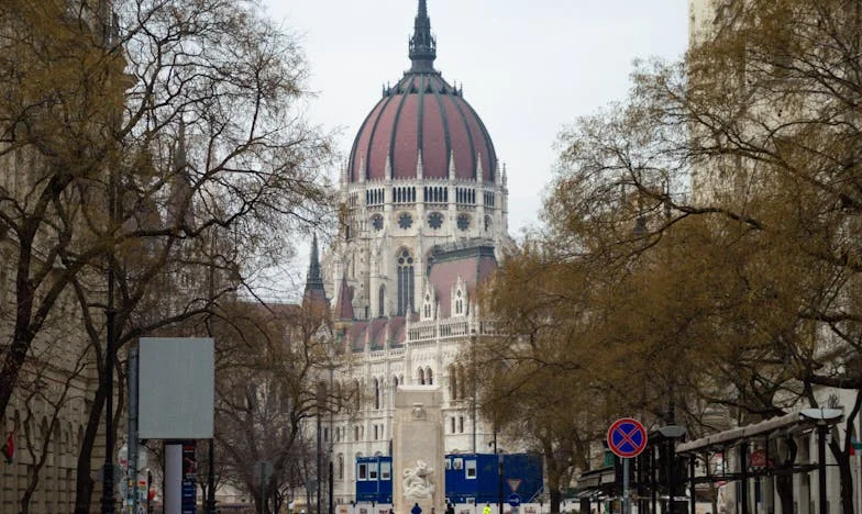 El grito de mi hija, su cabello y el abismo entre nosotros