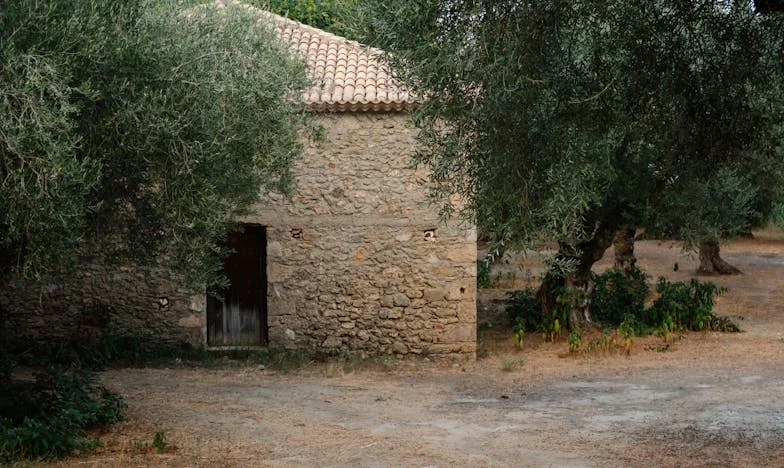 El precio de la confianza: La verdad detrás de los silencios de mi madre