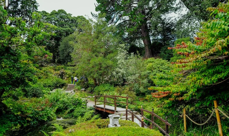 El préstamo que nunca fue para sanar: la traición de mi madre