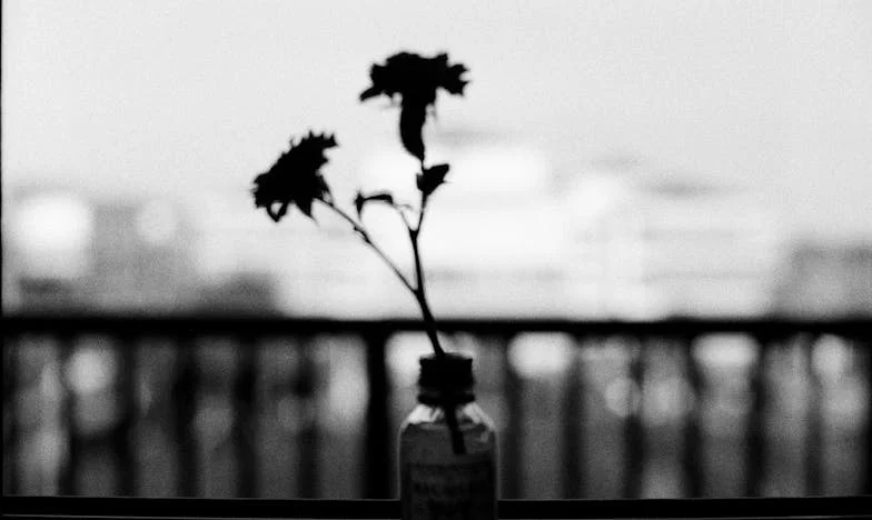 Entre el amor y la distancia: La historia de Linda y su hijo