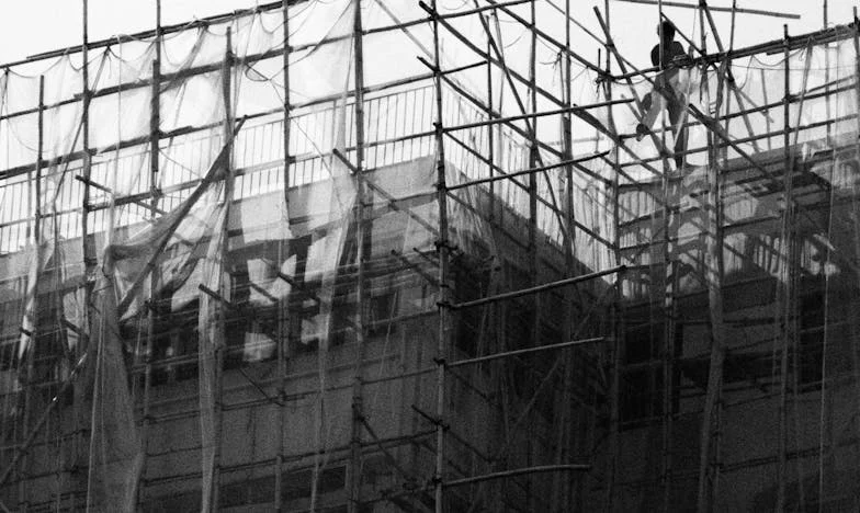 Entre el amor y la sangre: ¿A quién le pertenece mi hogar?