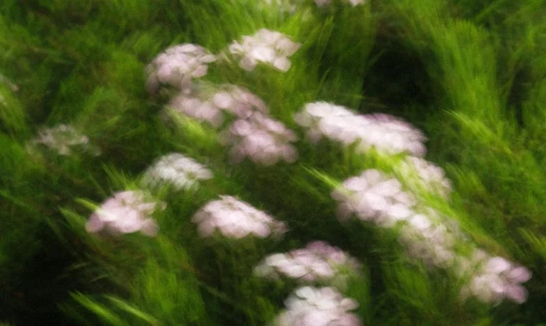 Entre el prejuicio y el amor: La historia de una suegra mexicana