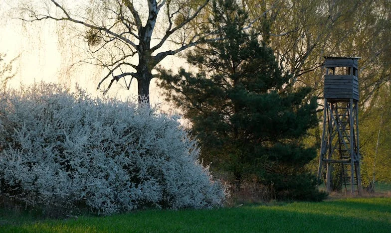 Entre Oraciones y Secretos: Mi Camino Hacia la Paz con mi Suegra