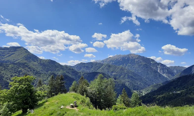 Entre Tazas y Secretos: El Día que Mamá Rosa Decidió No Volver