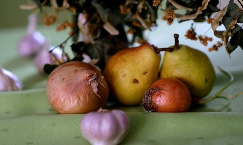 La casa que construí con lágrimas: una historia de traición y coraje