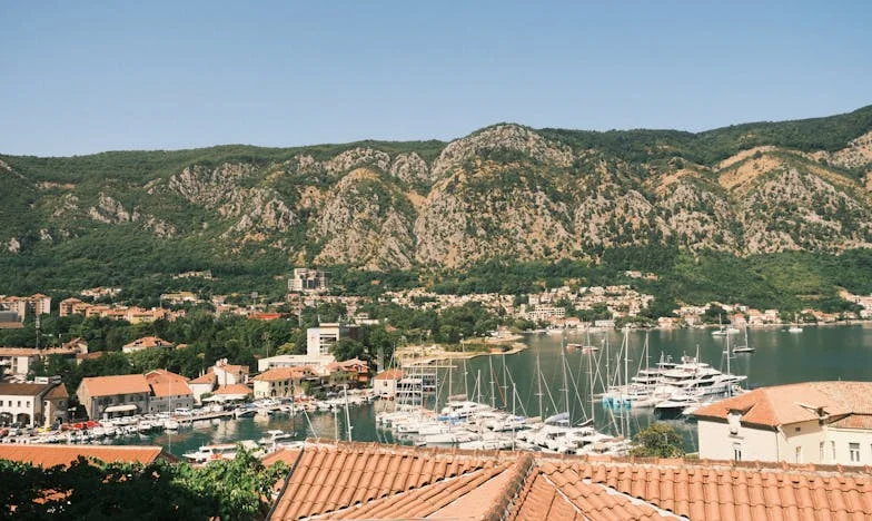 La herencia que no esperaban: Mi última jugada