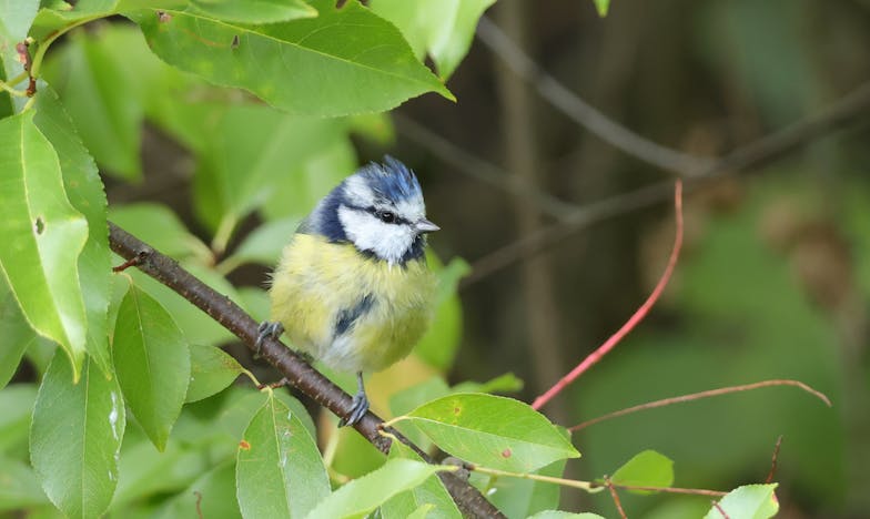 La herida invisible: El día que mi madre me robó el futuro