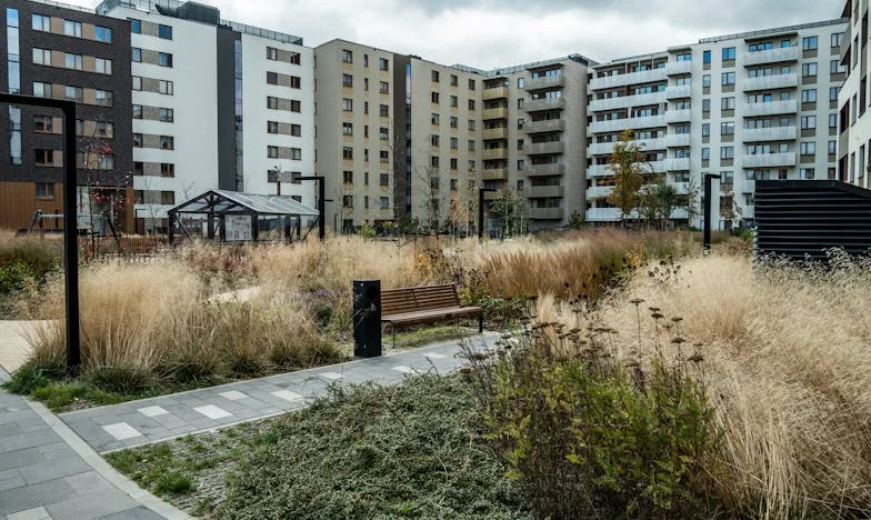 La propuesta de mi suegra: Entre la lluvia y la traición