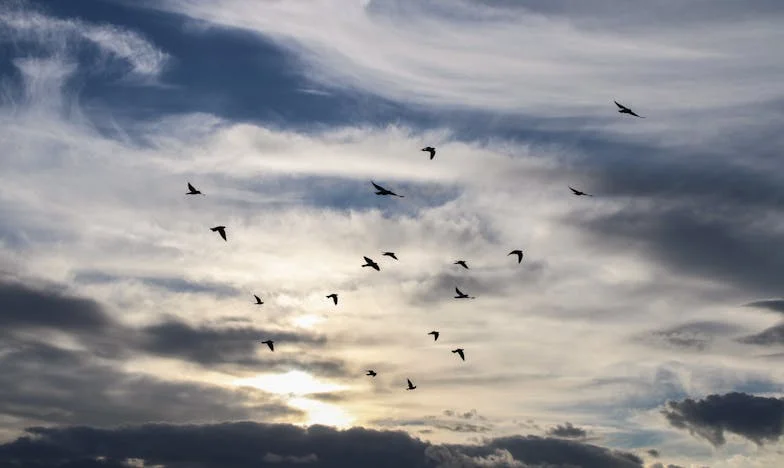 Mi hija dice que soy tóxica. Pero yo solo sé amar: La historia de una madre mexicana entre el amor y la incomprensión