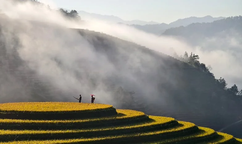 Mi Hijo, Su Esposa y la Sombra del Pasado