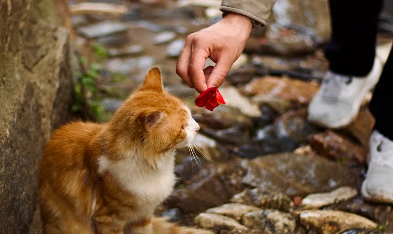 Mi madre no quiere cuidar a mis hijos: entre el trabajo y la soledad en Buenos Aires