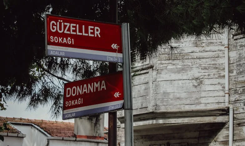 Mi pequeño héroe en la sombra: La noche en que Emiliano nos salvó