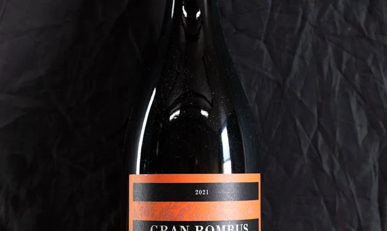 Mi suegra, mi enemiga... y mi mejor amiga: Crónica de una reconciliación inesperada