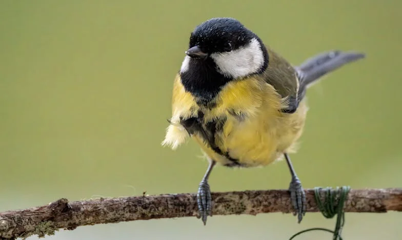 Milagro en la Calle 12: El Hijo que Nunca Imaginé