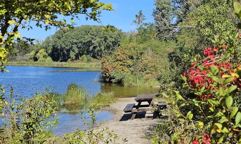 “Quiero el divorcio”: El instante que partió mi vida en dos