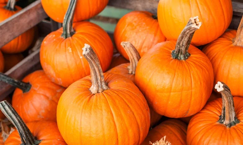 Sanar Después del Dolor: Cómo Mi Hijo Encontró Redención y Reconstruyó Nuestra Familia