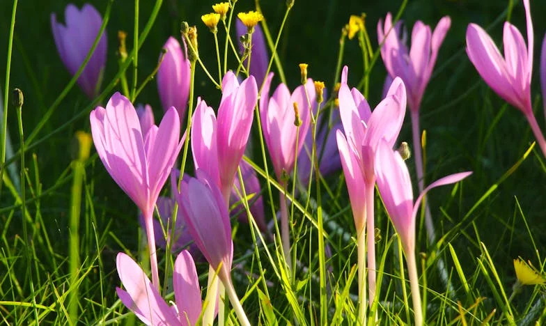 “Tendré los hijos que me dé la gana”: El grito de mi hermana que rompió a nuestra familia
