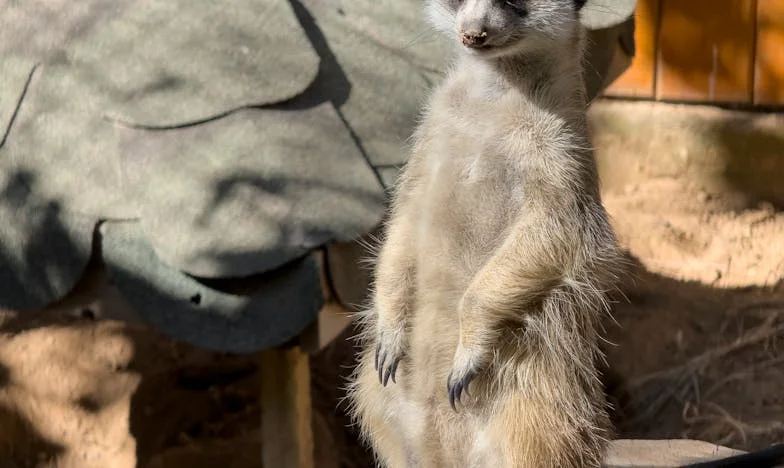 Tu orgullo nos condena: Confesiones de una hija rota