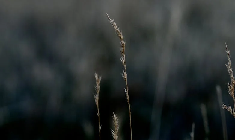 A los sesenta, busqué a mi primer amor: El día que abrí la puerta de mi pasado