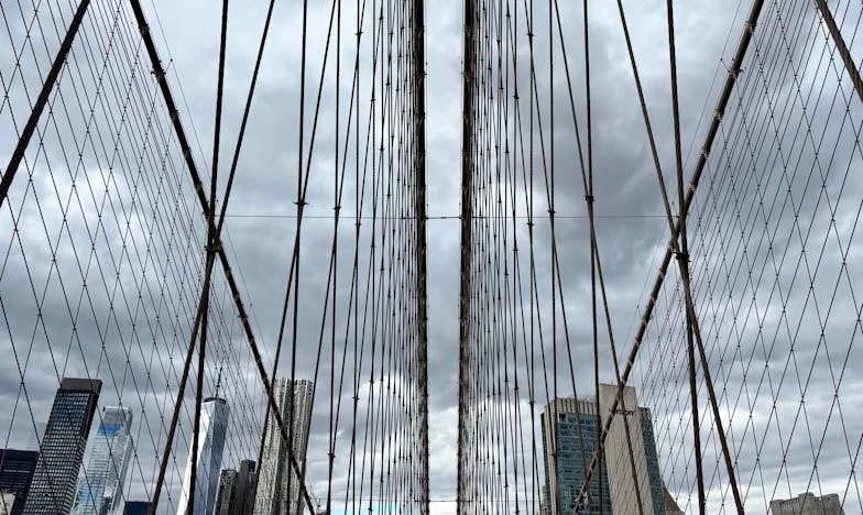 Alas rotas: Renacer después de la traición