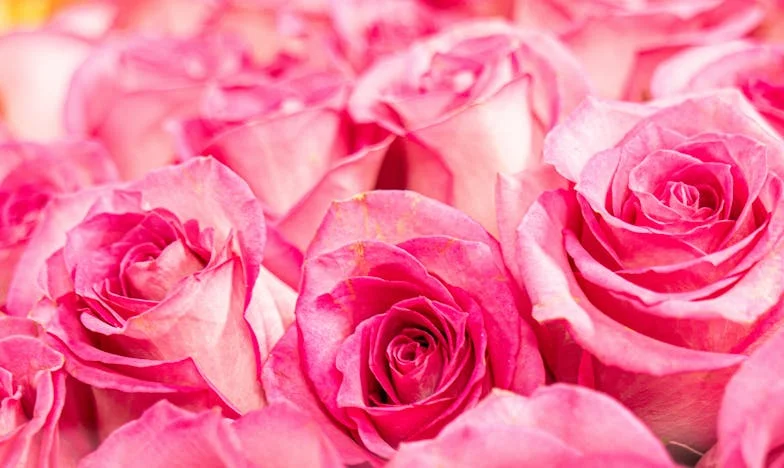 Cuando el hogar se vuelve ajeno: El día que mi mundo se quebró