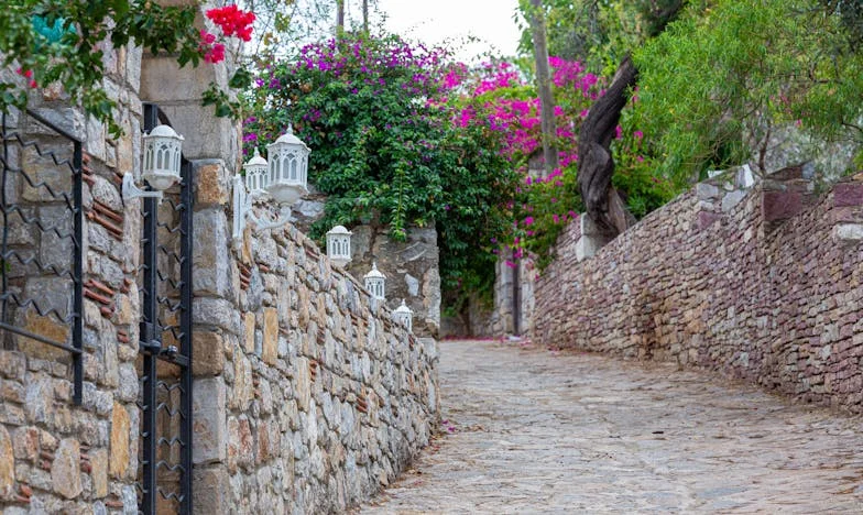 Cuando el teléfono de mi hija duele más que el silencio: Confesiones de una madre mexicana