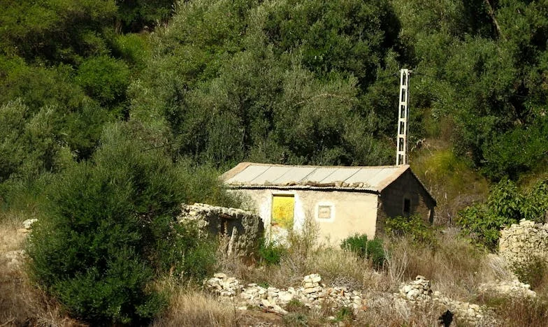 Cuando la familia calla: El silencio que duele más que la enfermedad