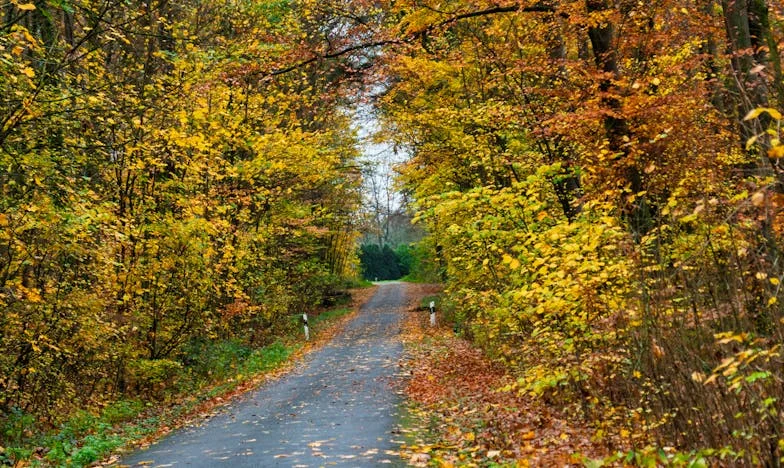 Cuando los sueños de paz se convierten en una jaula silenciosa: La historia de una madre mexicana