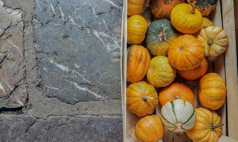 Cuando Nadie Viene: La Historia de un Hermano Olvidado