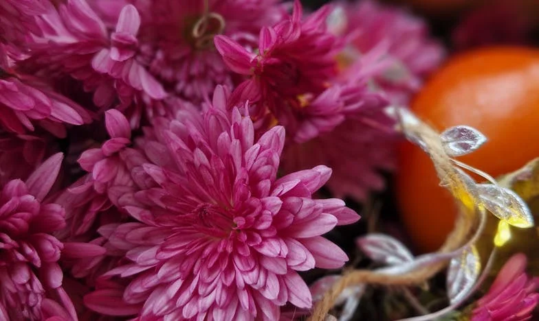 Cuando Papá Decidió Irse: El Último Café en la Mesa Familiar