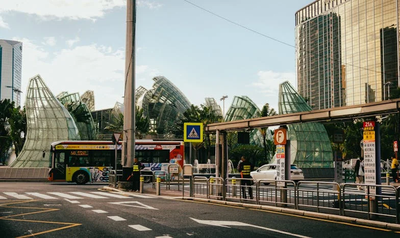El balde de tomates y el secreto de mi suegra