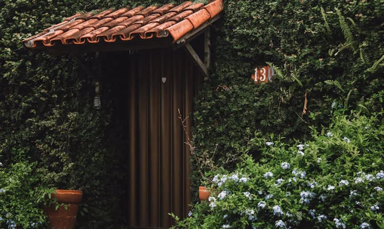 El día que huí del altar: Mi escape hacia la libertad