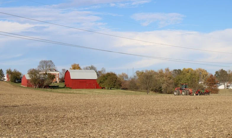 El día que la verdad tocó a mi puerta