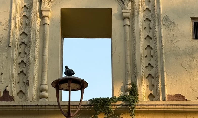 El día que mi mundo se quebró: una llamada que lo cambió todo