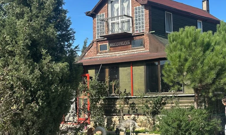 El hilo que se rompe: La historia de una madre en Medellín