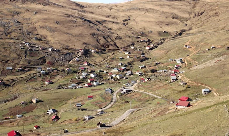 El Orgullo de Doña Mercedes: La Victoria de un Nieto en la Tierra de los Sueños