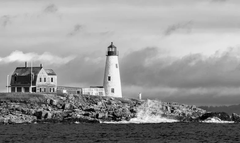 El precio de la traición: Cuando el trabajo se convierte en campo de batalla