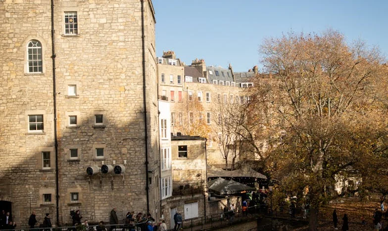 El Reino de Hierro de mi Suegra: Sobrevivir Entre las Paredes de una Casa Mexicana