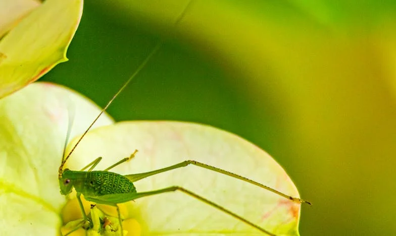El silencio de los domingos: La confesión de una suegra arrepentida