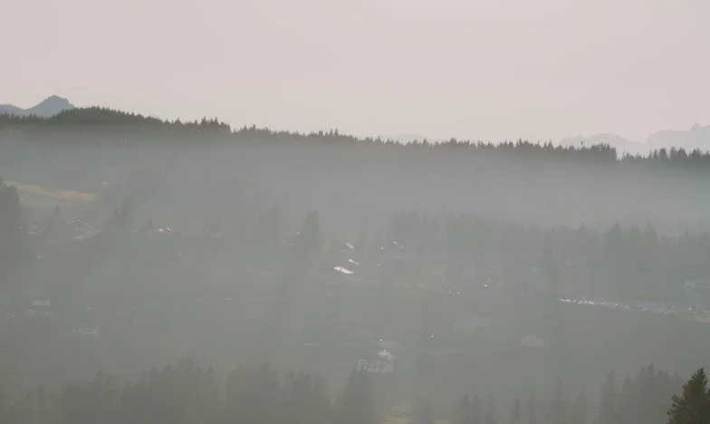 El testamento de mi esposo: Entre la herencia y el desgarro familiar