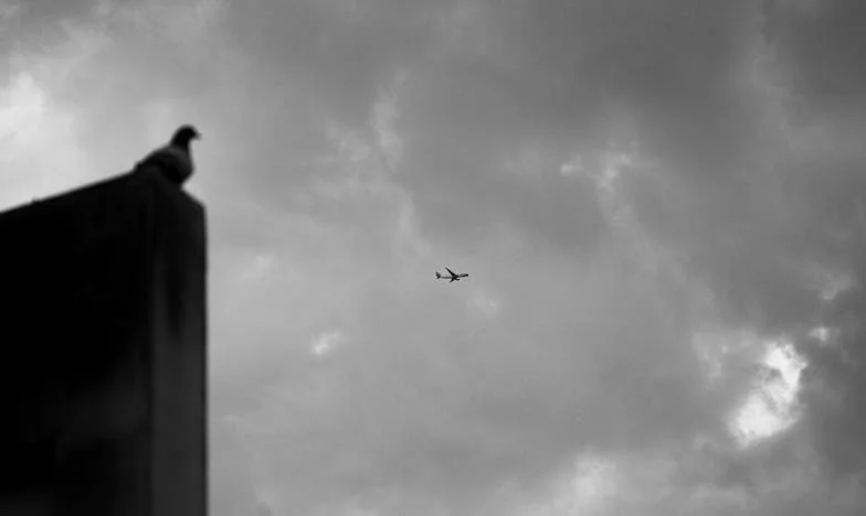 Entre dos hogares: Aprendí a perdonar a mi suegra