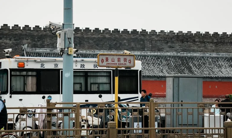 Entre el amor y la sangre: La decisión que partió mi vida en dos