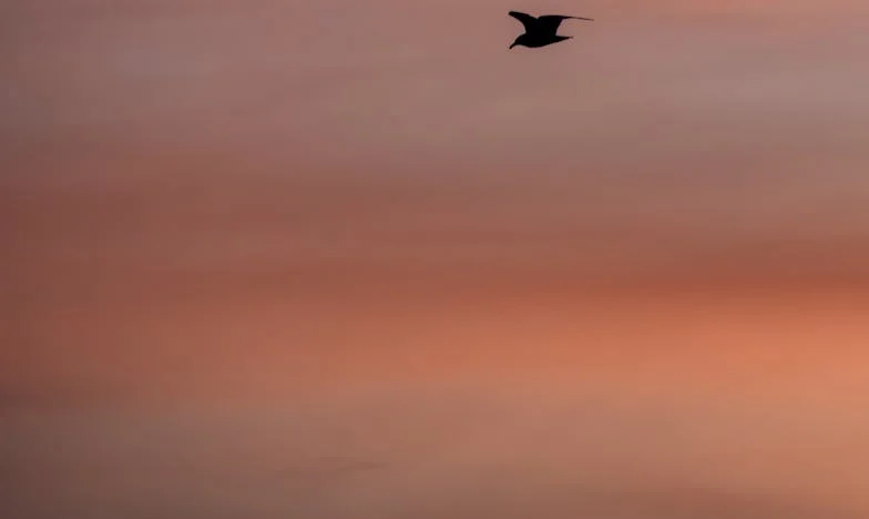 Espejo Roto: La travesía de Mariana entre la traición y el perdón