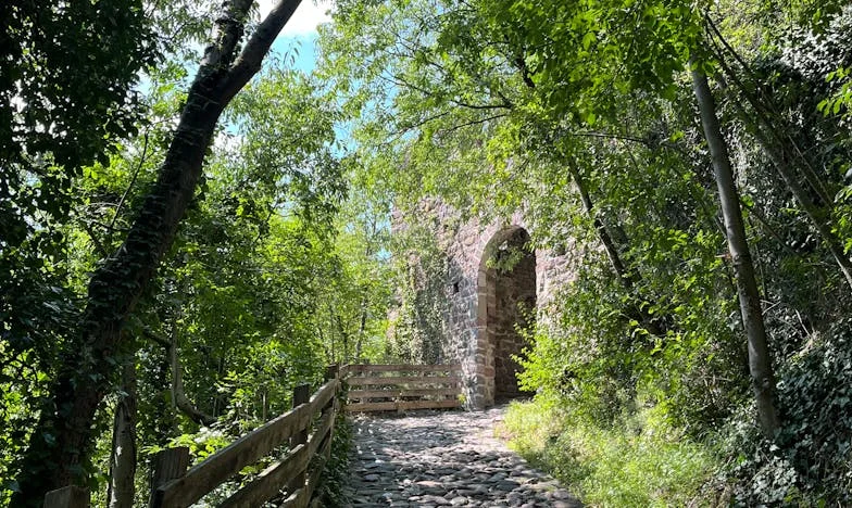 “Esta ya no es mi casa” – Una guerra familiar en el corazón de mi hogar