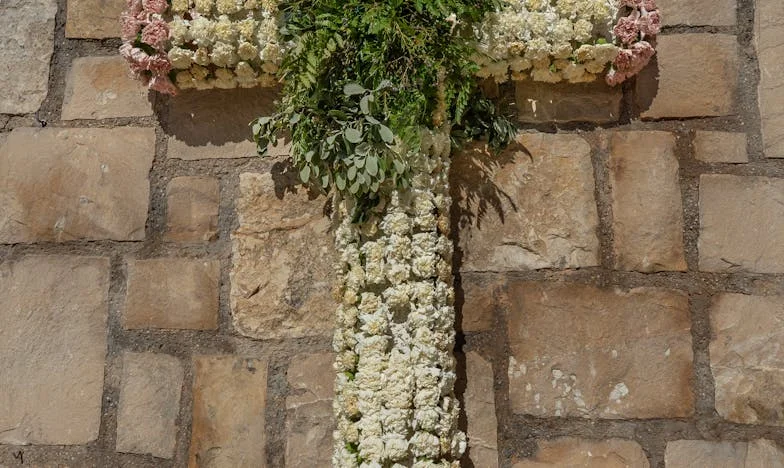 Herencia bajo la brisa del Pacífico: Cuando la familia se rompe por dentro