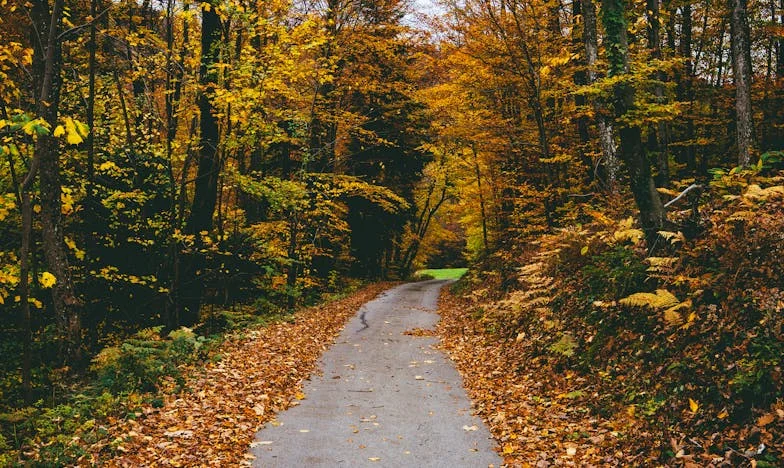 Huí de mi propia casa: La noche en que recuperé mi voz